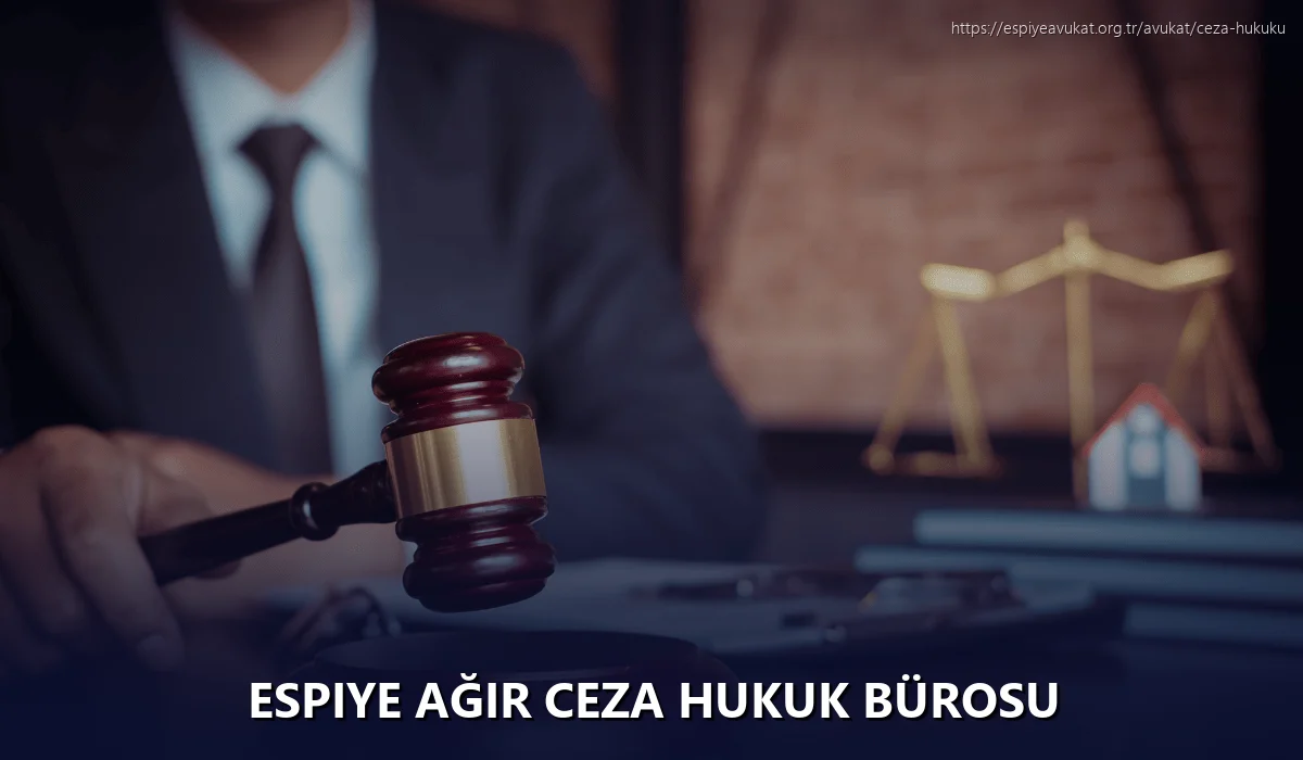 Espiye Ağır Ceza Hukuk Bürosu