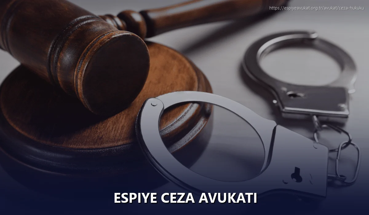 Espiye Ceza Avukatı