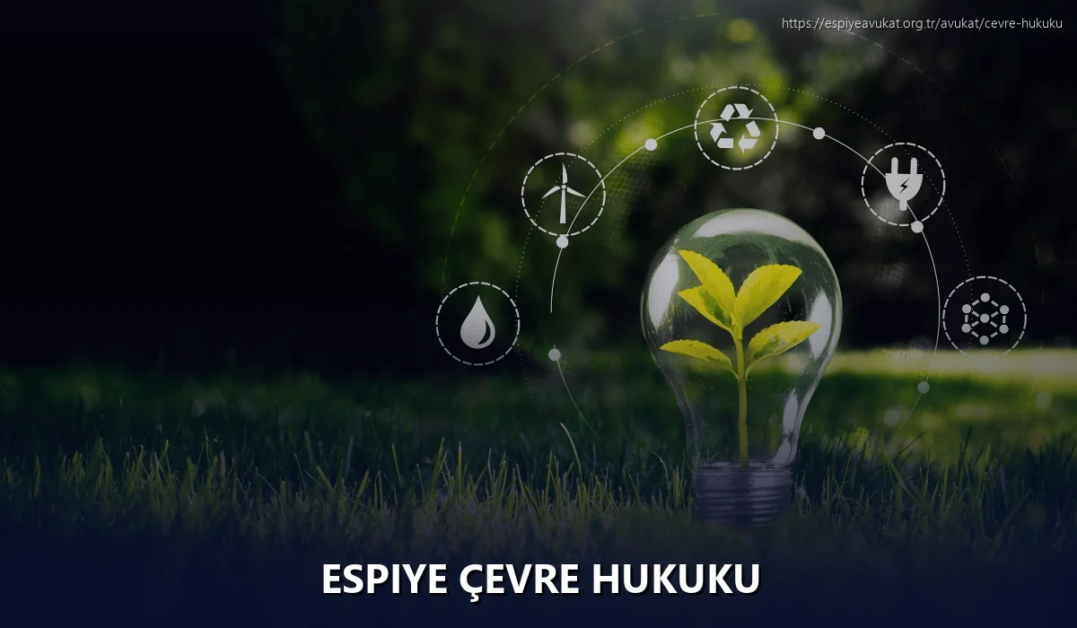 Espiye Çevre Hukuku